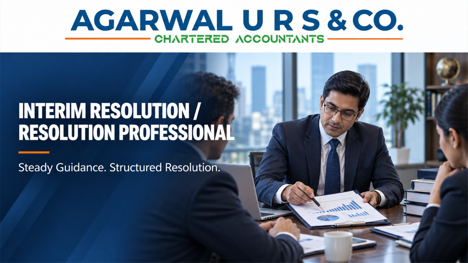 Interim Resolution Profession or Resolution Professional