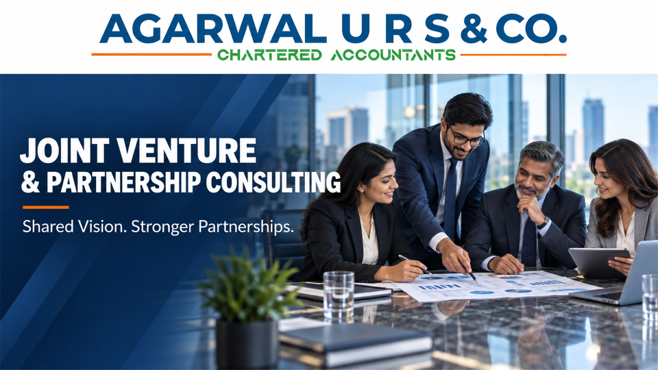 Joint Venture and Partnership Consulting