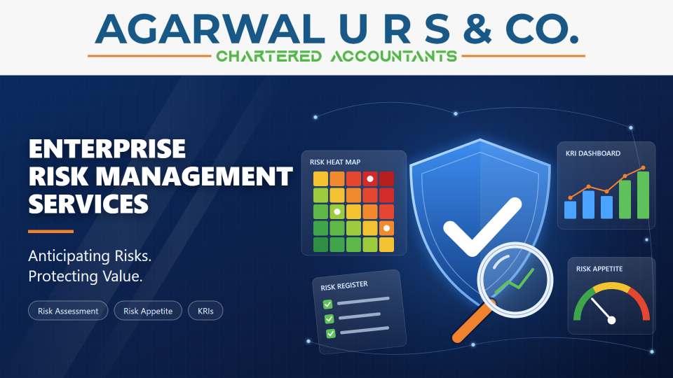 Enterprise Risk Management Services