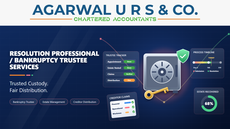 Resolution Professional / Bankruptcy Trustee Services