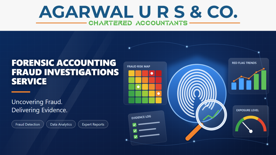 Forensic Accounting Fraud Investigations Service