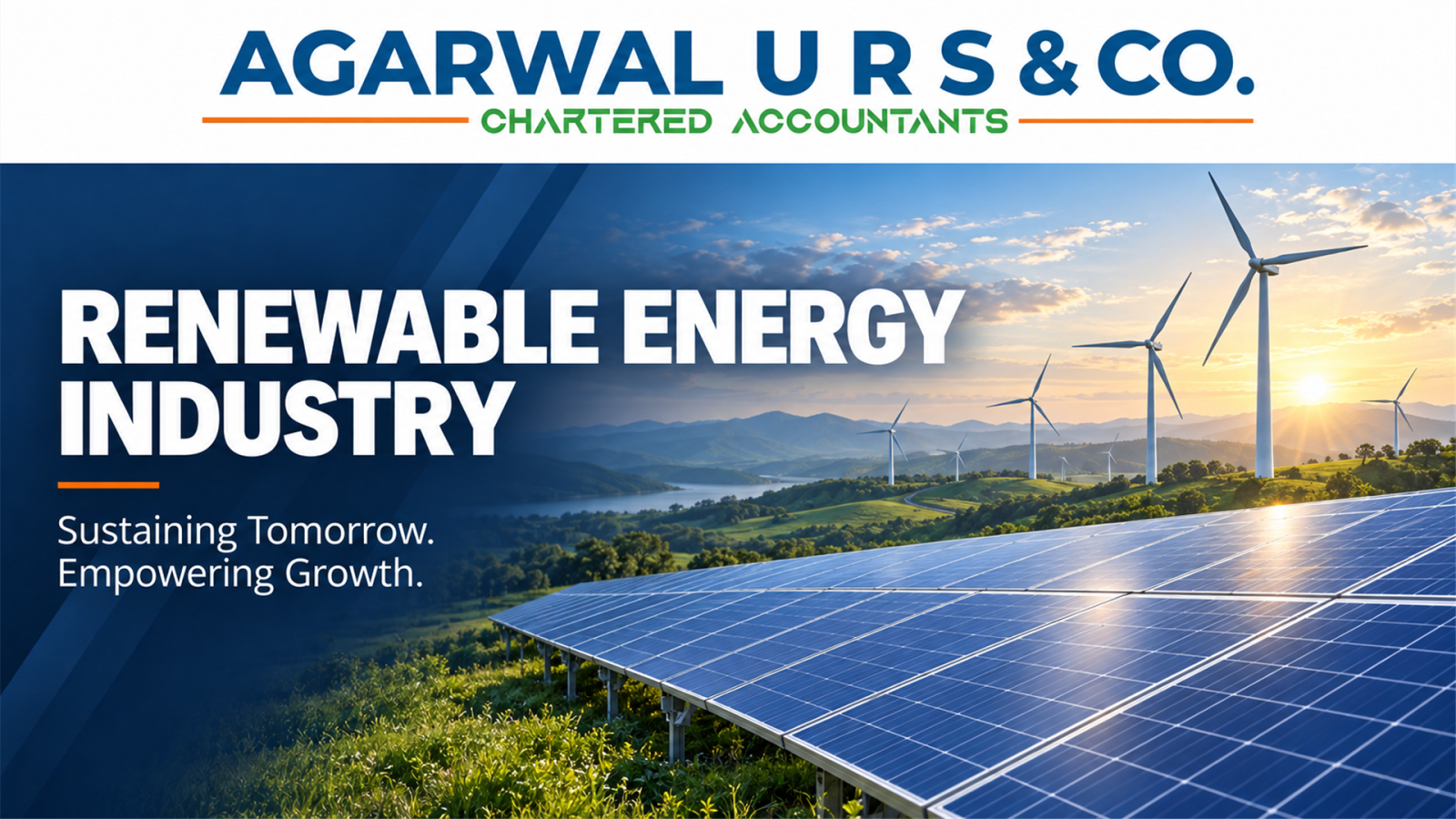 Renewable Energy Industry