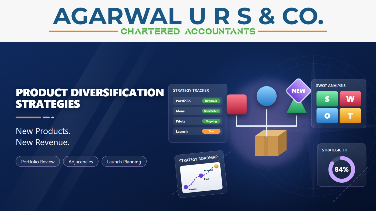 Product Diversification Strategies
