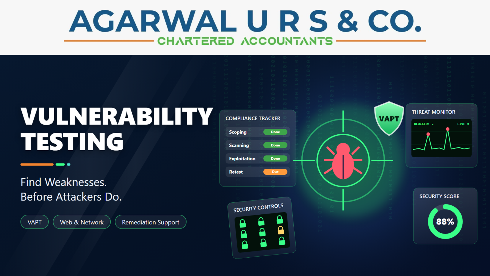 Vulnerability Testing