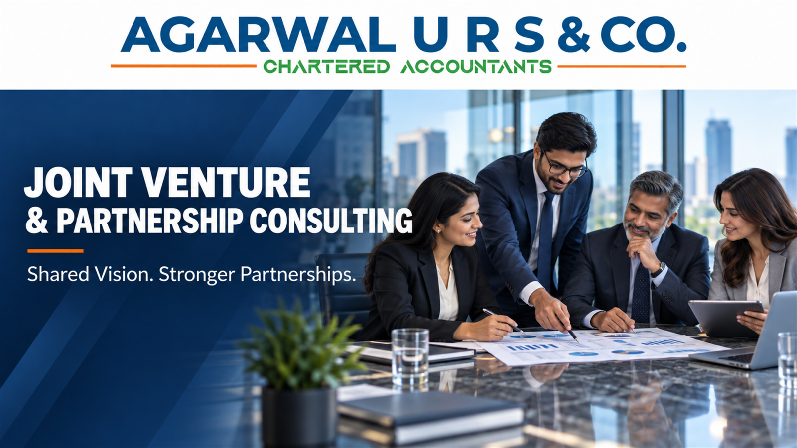 Joint Venture and Partnership Consulting