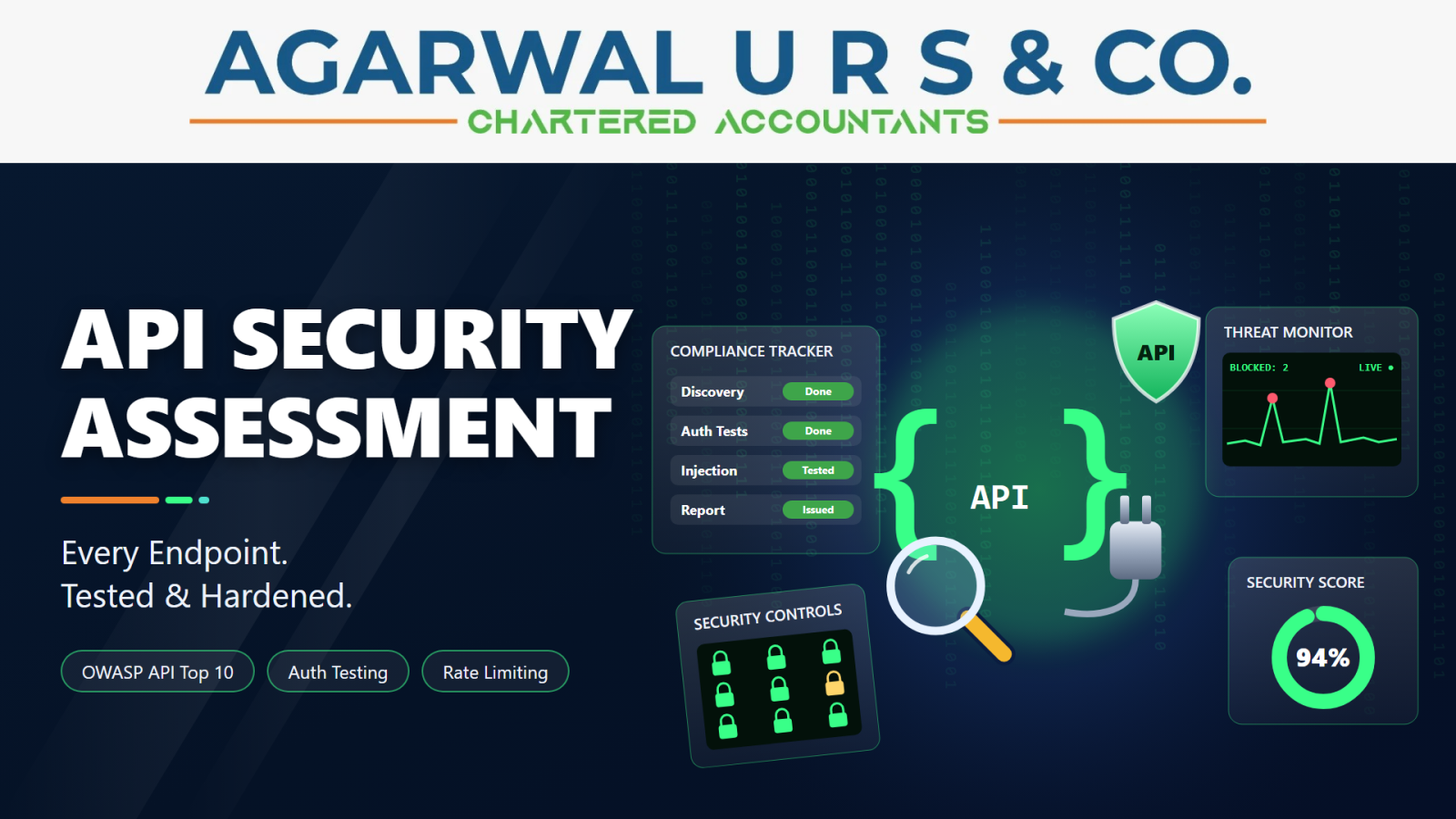 API Security Assessment
