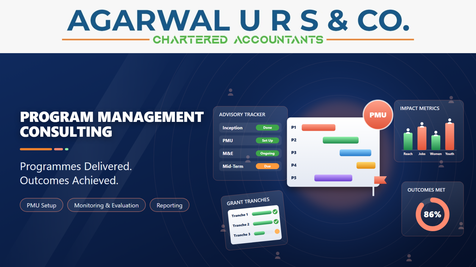 Program Management Consulting