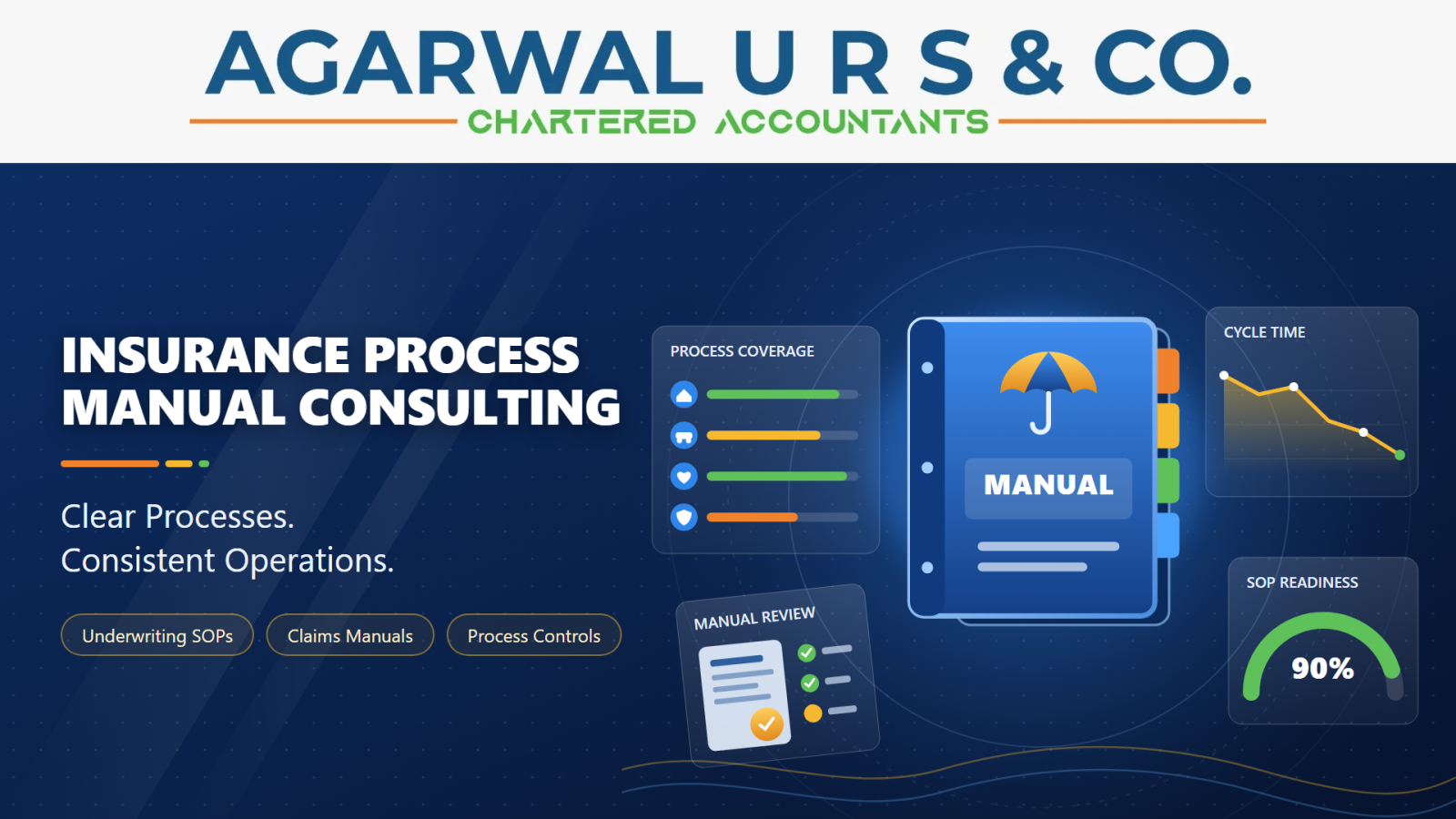 Insurance Process Manual Consulting